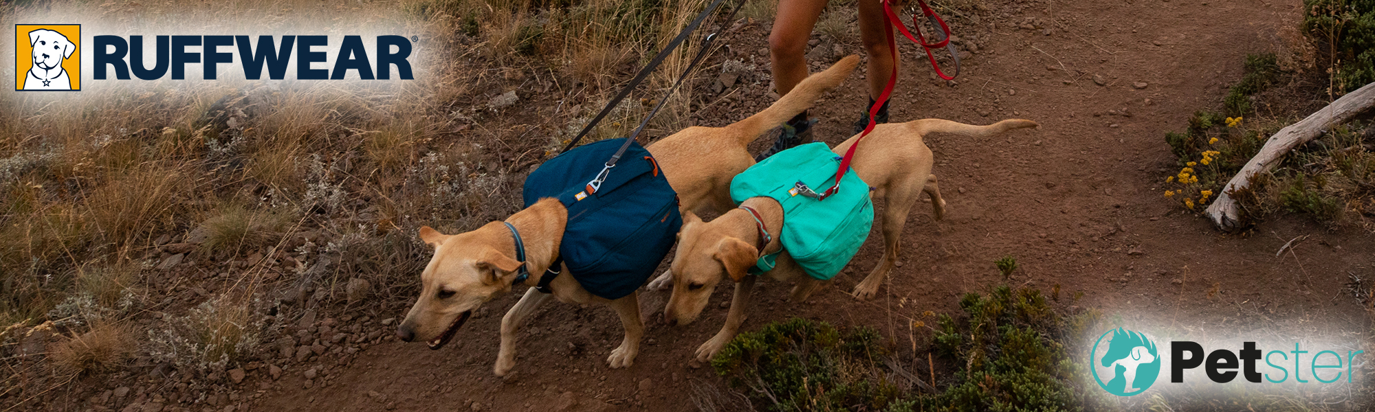 Ruffwear Hunderucks cke PETSTER